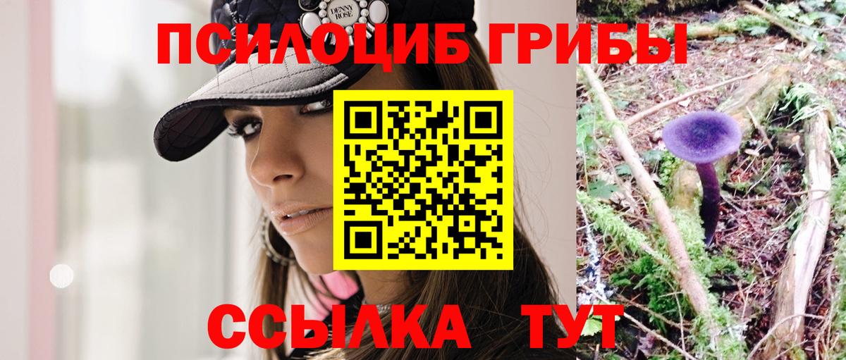 Псилоцибиновые грибы ЛСД Михайловск